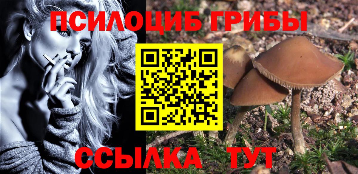 Галлюциногенные грибы GOLDEN TEACHER  Вход с VPN  Галлюциногенные грибы MAGIC MUSHROOMS  Кстово 
